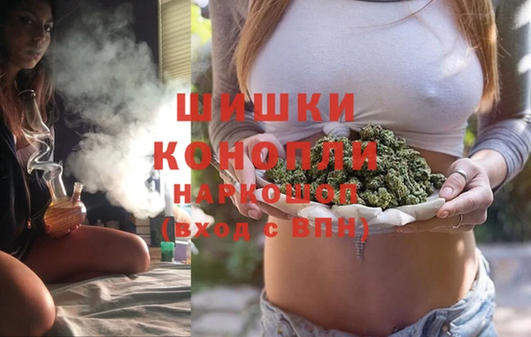 ALPHA PVP Осинники