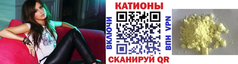МЯУ-МЯУ мяу мяу  OMG   Киселёвск 