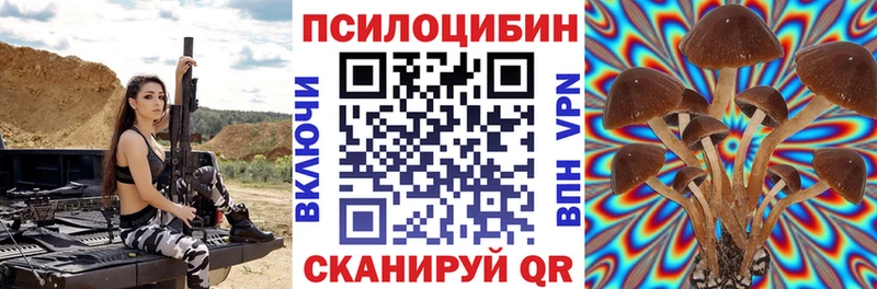 Галлюциногенные грибы мицелий  дарнет шоп  Киселёвск 